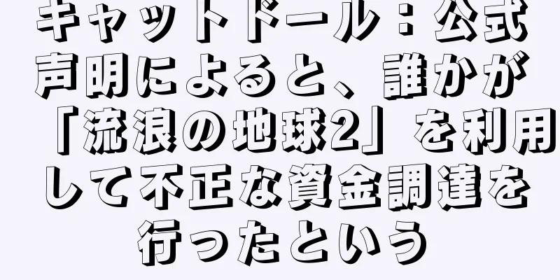 キャットドール：公式声明によると、誰かが「流浪の地球2」を利用して不正な資金調達を行ったという