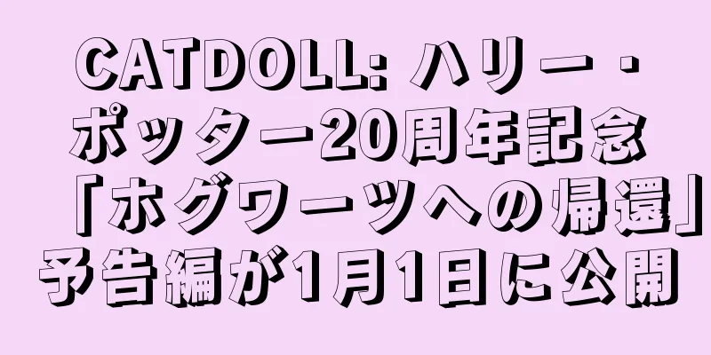 CATDOLL: ハリー・ポッター20周年記念「ホグワーツへの帰還」予告編が1月1日に公開