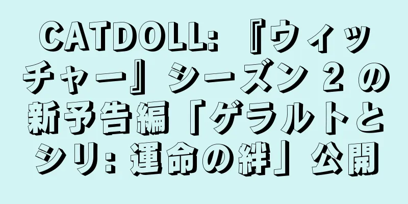 CATDOLL: 『ウィッチャー』シーズン 2 の新予告編「ゲラルトとシリ: 運命の絆」公開