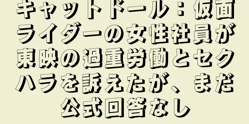 キャットドール：仮面ライダーの女性社員が東映の過重労働とセクハラを訴えたが、まだ公式回答なし