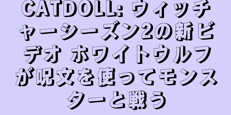 CATDOLL: ウィッチャーシーズン2の新ビデオ ホワイトウルフが呪文を使ってモンスターと戦う