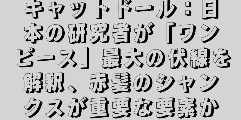 キャットドール：日本の研究者が「ワンピース」最大の伏線を解釈、赤髪のシャンクスが重要な要素か