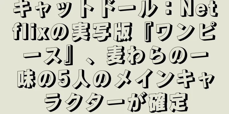 キャットドール：Netflixの実写版『ワンピース』、麦わらの一味の5人のメインキャラクターが確定