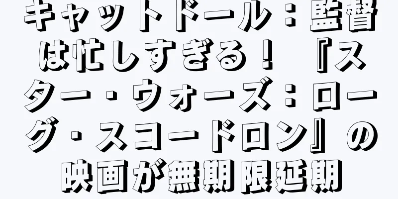キャットドール：監督は忙しすぎる！ 『スター・ウォーズ：ローグ・スコードロン』の映画が無期限延期