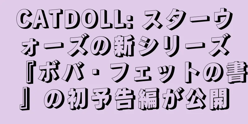 CATDOLL: スターウォーズの新シリーズ『ボバ・フェットの書』の初予告編が公開