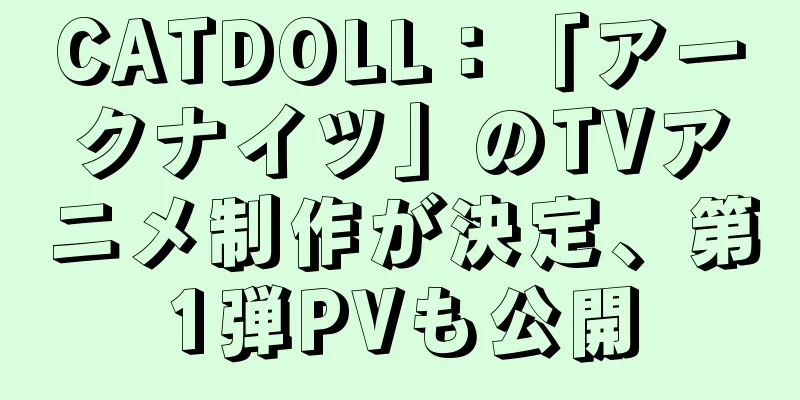CATDOLL：「アークナイツ」のTVアニメ制作が決定、第1弾PVも公開