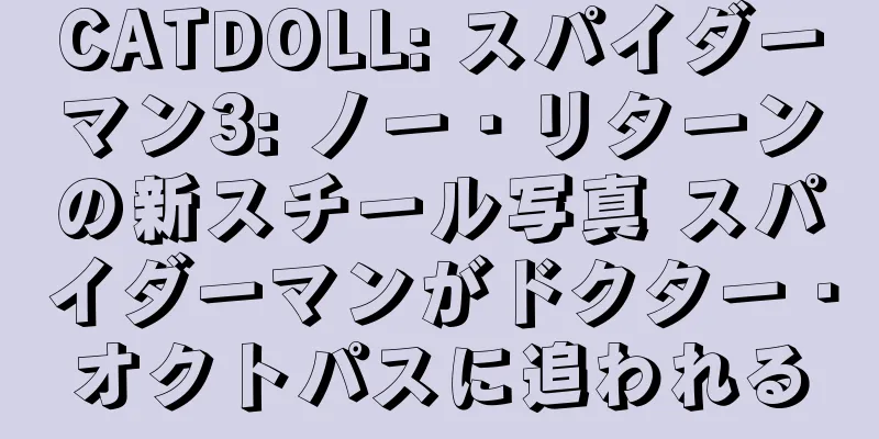 CATDOLL: スパイダーマン3: ノー・リターンの新スチール写真 スパイダーマンがドクター・オクトパスに追われる