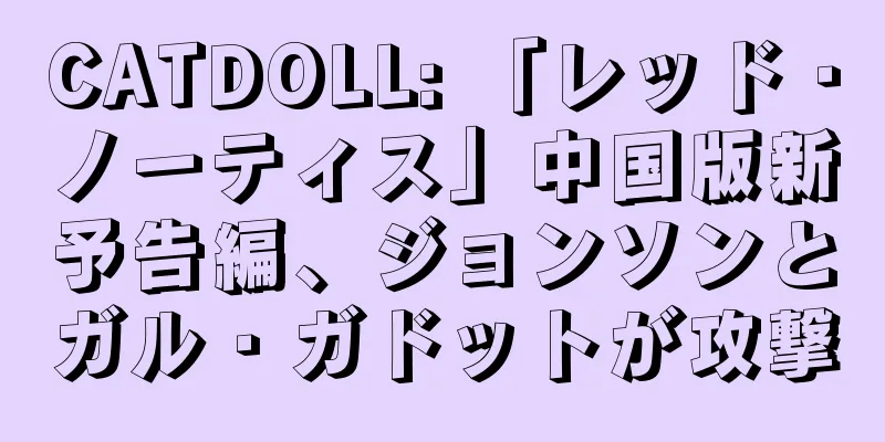 CATDOLL: 「レッド・ノーティス」中国版新予告編、ジョンソンとガル・ガドットが攻撃
