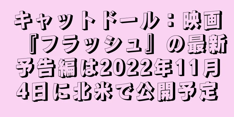 キャットドール：映画『フラッシュ』の最新予告編は2022年11月4日に北米で公開予定