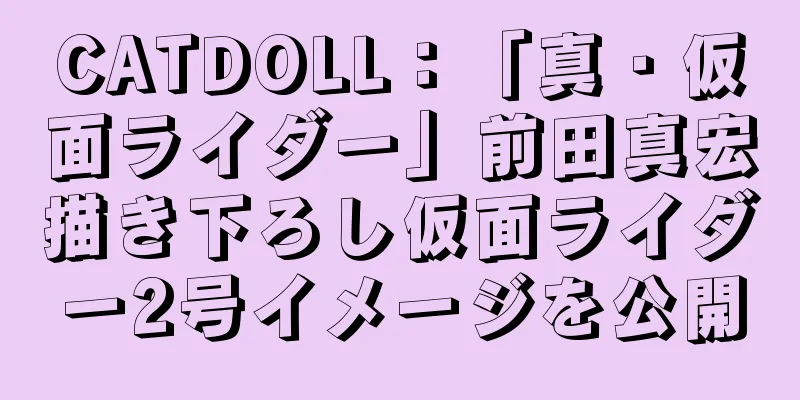 CATDOLL：「真・仮面ライダー」前田真宏描き下ろし仮面ライダー2号イメージを公開