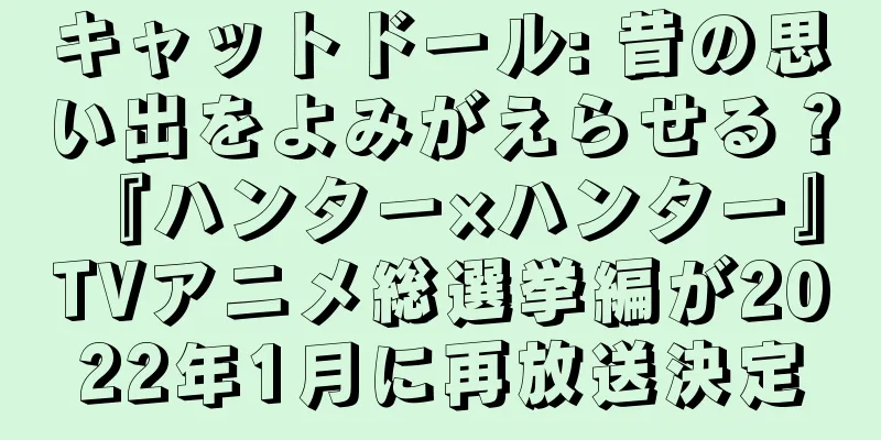 キャットドール: 昔の思い出をよみがえらせる？ 『ハンター×ハンター』TVアニメ総選挙編が2022年1月に再放送決定