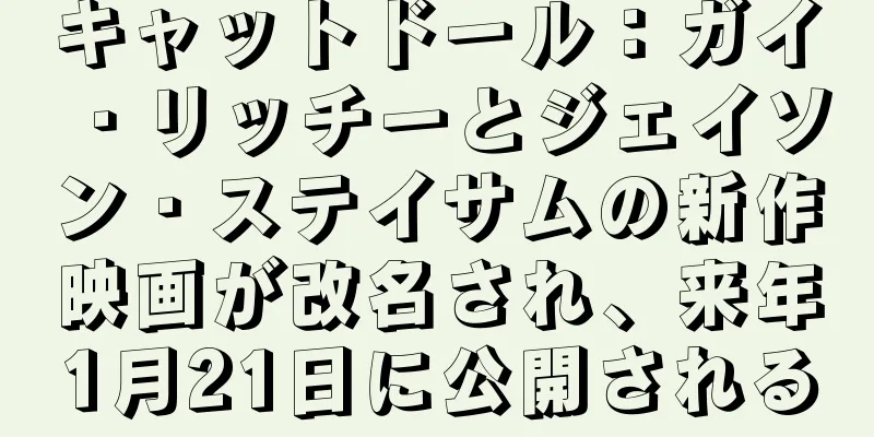 キャットドール：ガイ・リッチーとジェイソン・ステイサムの新作映画が改名され、来年1月21日に公開される