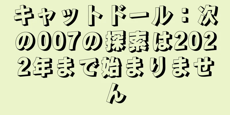 キャットドール：次の007の探索は2022年まで始まりません