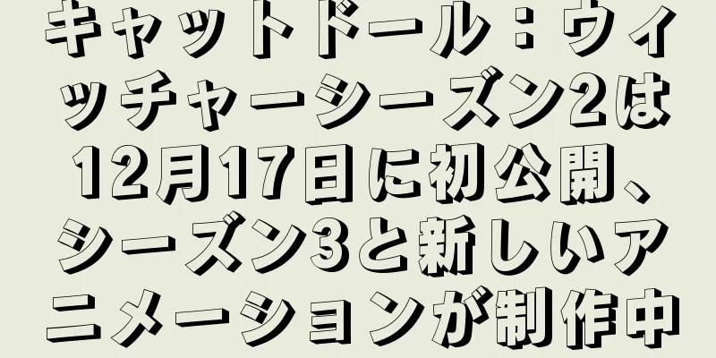 キャットドール：ウィッチャーシーズン2は12月17日に初公開、シーズン3と新しいアニメーションが制作中