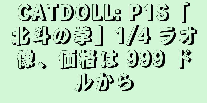 CATDOLL: P1S「北斗の拳」1/4 ラオ像、価格は 999 ドルから