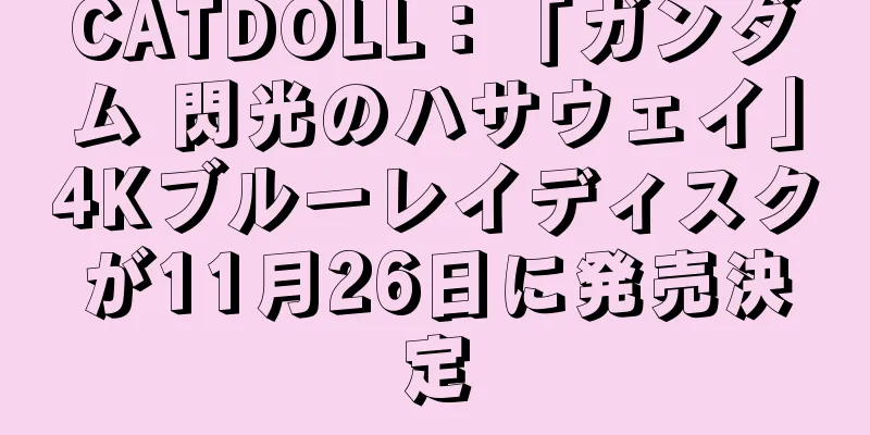CATDOLL：「ガンダム 閃光のハサウェイ」4Kブルーレイディスクが11月26日に発売決定