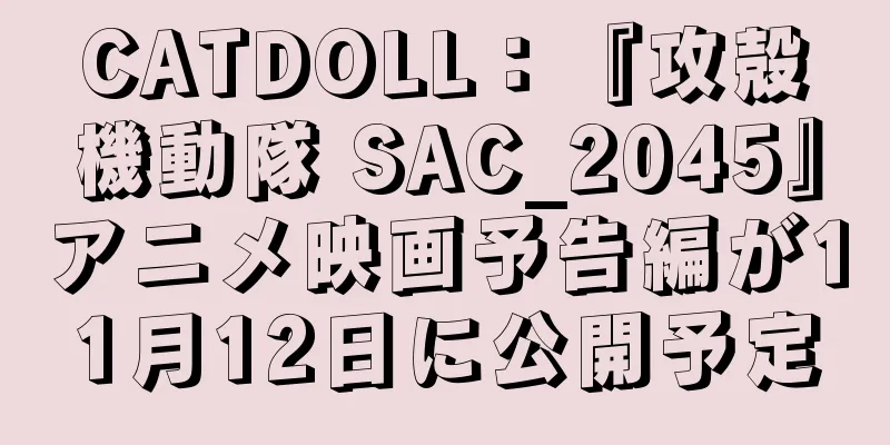 CATDOLL：『攻殻機動隊 SAC_2045』アニメ映画予告編が11月12日に公開予定