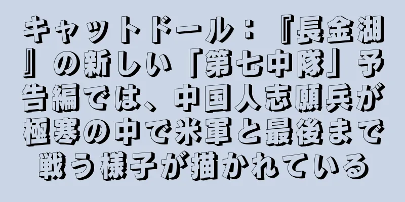 キャットドール：『長金湖』の新しい「第七中隊」予告編では、中国人志願兵が極寒の中で米軍と最後まで戦う様子が描かれている