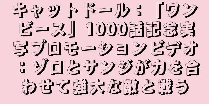 キャットドール：「ワンピース」1000話記念実写プロモーションビデオ：ゾロとサンジが力を合わせて強大な敵と戦う