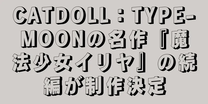 CATDOLL：TYPE-MOONの名作『魔法少女イリヤ』の続編が制作決定
