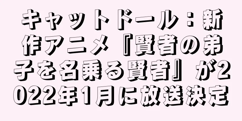 キャットドール：新作アニメ『賢者の弟子を名乗る賢者』が2022年1月に放送決定