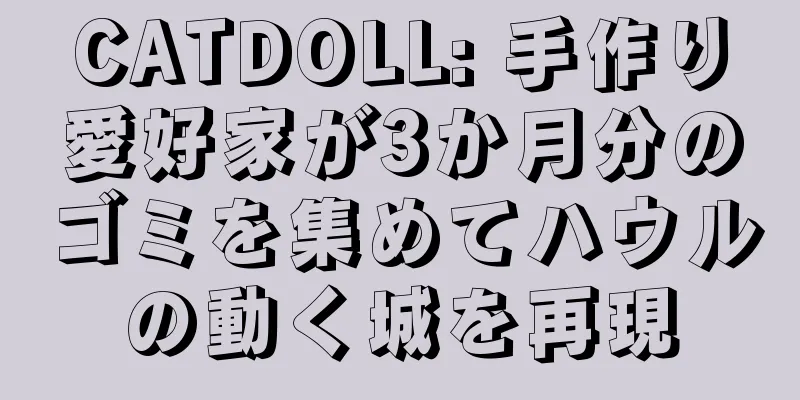 CATDOLL: 手作り愛好家が3か月分のゴミを集めてハウルの動く城を再現