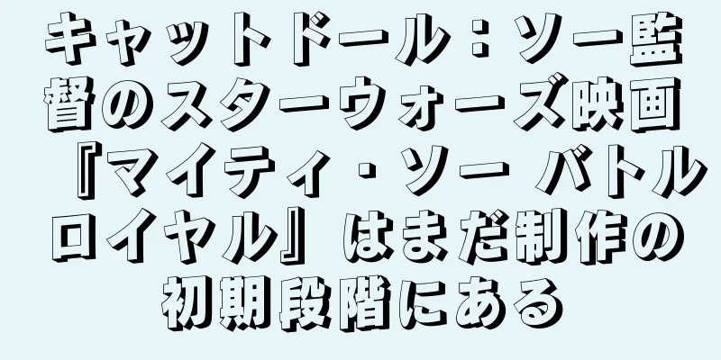キャットドール：ソー監督のスターウォーズ映画『マイティ・ソー バトルロイヤル』はまだ制作の初期段階にある
