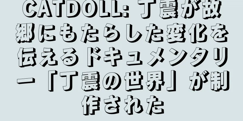 CATDOLL: 丁震が故郷にもたらした変化を伝えるドキュメンタリー「丁震の世界」が制作された