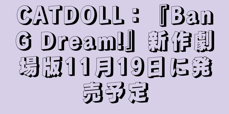 CATDOLL：『BanG Dream!』新作劇場版11月19日に発売予定