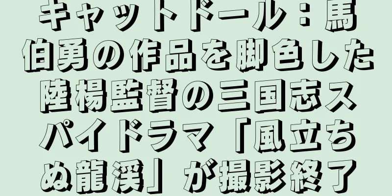 キャットドール：馬伯勇の作品を脚色した陸楊監督の三国志スパイドラマ「風立ちぬ龍渓」が撮影終了