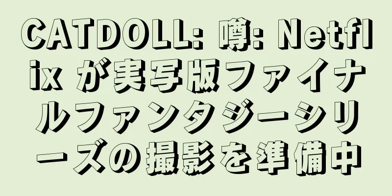 CATDOLL: 噂: Netflix が実写版ファイナルファンタジーシリーズの撮影を準備中