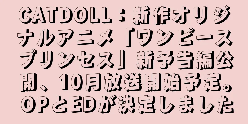 CATDOLL：新作オリジナルアニメ「ワンピースプリンセス」新予告編公開、10月放送開始予定。 OPとEDが決定しました