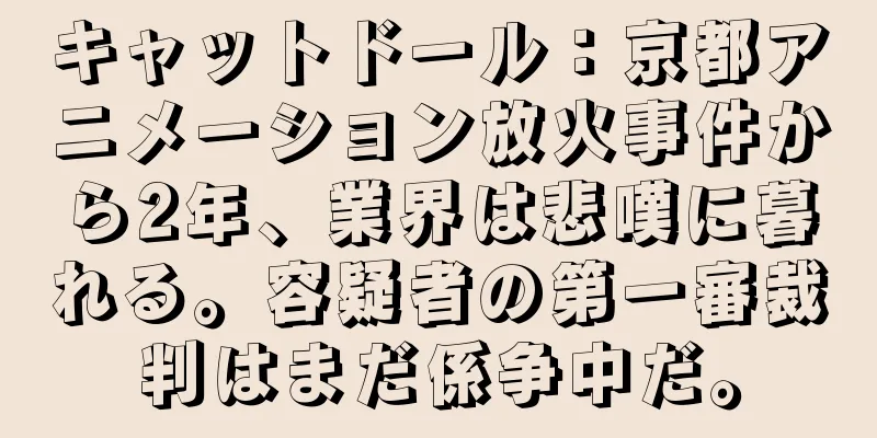 キャットドール：京都アニメーション放火事件から2年、業界は悲嘆に暮れる。容疑者の第一審裁判はまだ係争中だ。