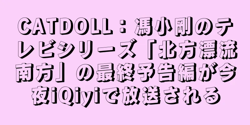 CATDOLL：馮小剛のテレビシリーズ「北方漂流南方」の最終予告編が今夜iQiyiで放送される
