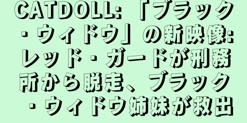 CATDOLL: 「ブラック・ウィドウ」の新映像: レッド・ガードが刑務所から脱走、ブラック・ウィドウ姉妹が救出