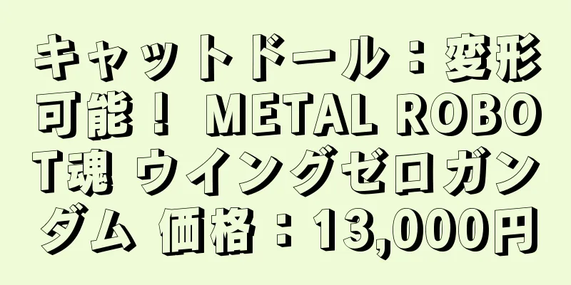 キャットドール：変形可能！ METAL ROBOT魂 ウイングゼロガンダム 価格：13,000円