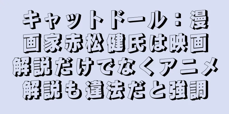 キャットドール：漫画家赤松健氏は映画解説だけでなくアニメ解説も違法だと強調
