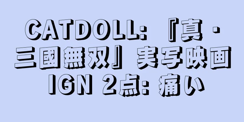CATDOLL: 『真・三國無双』実写映画 IGN 2点: 痛い