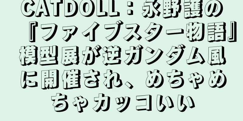 CATDOLL：永野護の『ファイブスター物語』模型展が逆ガンダム風に開催され、めちゃめちゃカッコいい