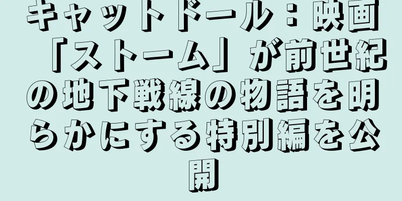 キャットドール：映画「ストーム」が前世紀の地下戦線の物語を明らかにする特別編を公開