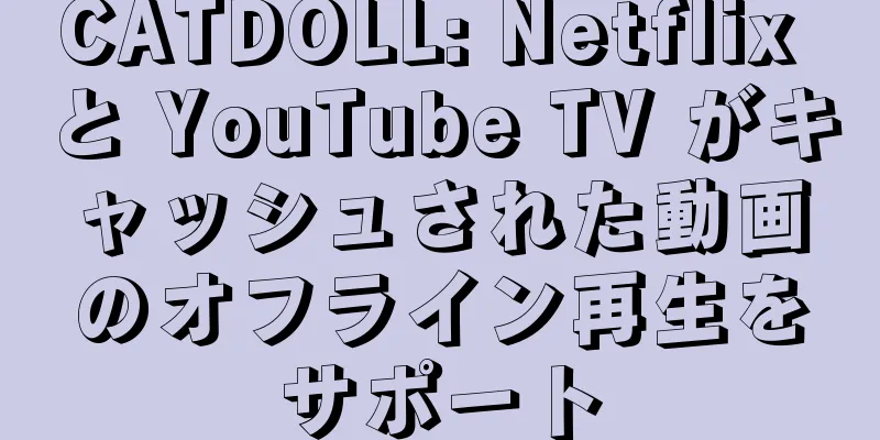 CATDOLL: Netflix と YouTube TV がキャッシュされた動画のオフライン再生をサポート