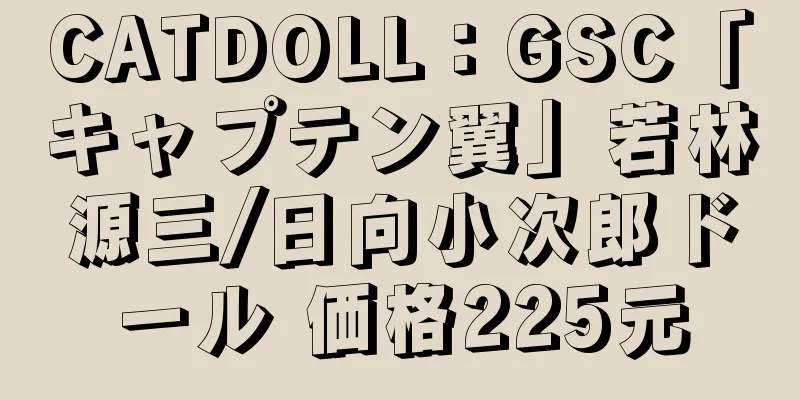 CATDOLL：GSC「キャプテン翼」若林源三/日向小次郎ドール 価格225元