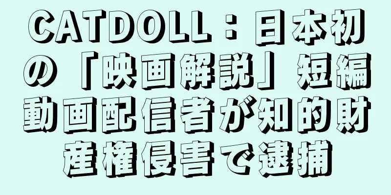 CATDOLL：日本初の「映画解説」短編動画配信者が知的財産権侵害で逮捕