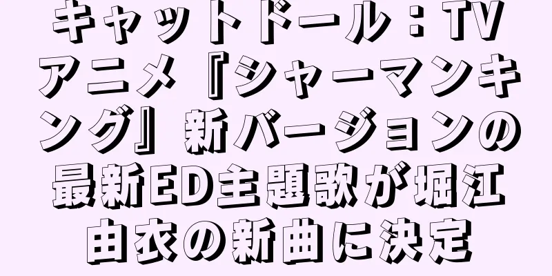キャットドール：TVアニメ『シャーマンキング』新バージョンの最新ED主題歌が堀江由衣の新曲に決定