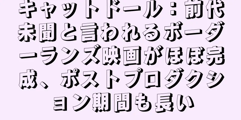 キャットドール：前代未聞と言われるボーダーランズ映画がほぼ完成、ポストプロダクション期間も長い