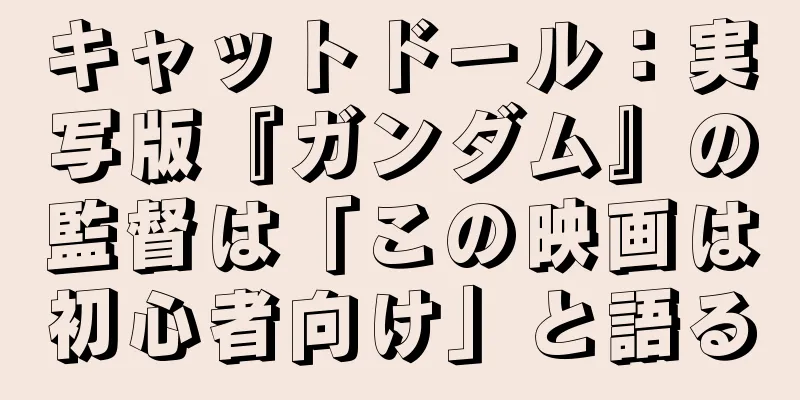 キャットドール：実写版『ガンダム』の監督は「この映画は初心者向け」と語る