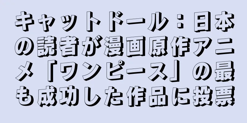 キャットドール：日本の読者が漫画原作アニメ「ワンピース」の最も成功した作品に投票