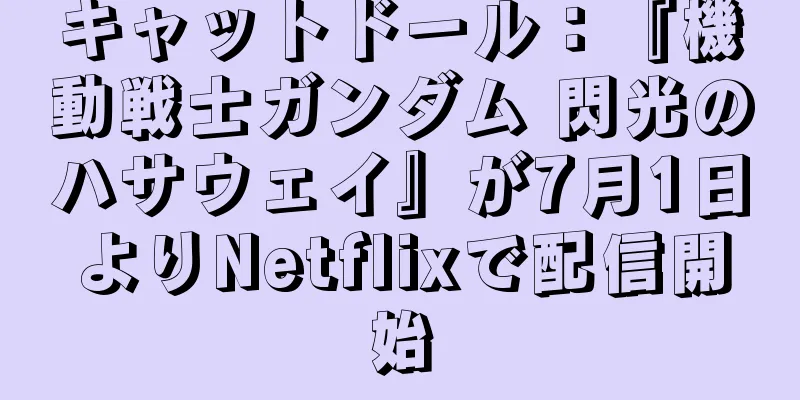 キャットドール：『機動戦士ガンダム 閃光のハサウェイ』が7月1日よりNetflixで配信開始