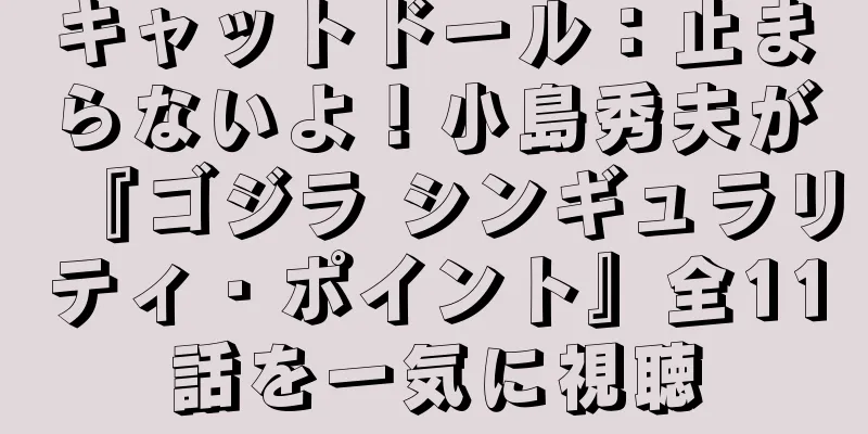 キャットドール：止まらないよ！小島秀夫が『ゴジラ シンギュラリティ・ポイント』全11話を一気に視聴