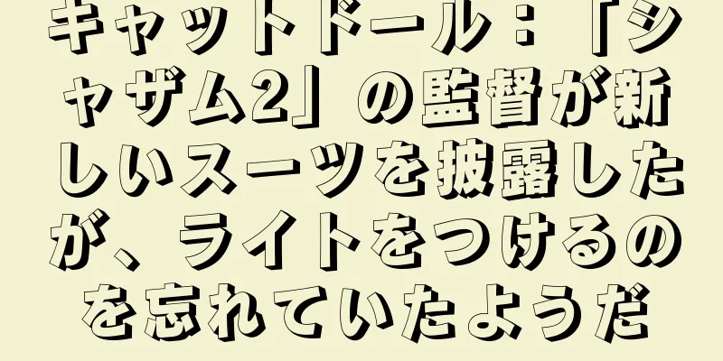 キャットドール：「シャザム2」の監督が新しいスーツを披露したが、ライトをつけるのを忘れていたようだ